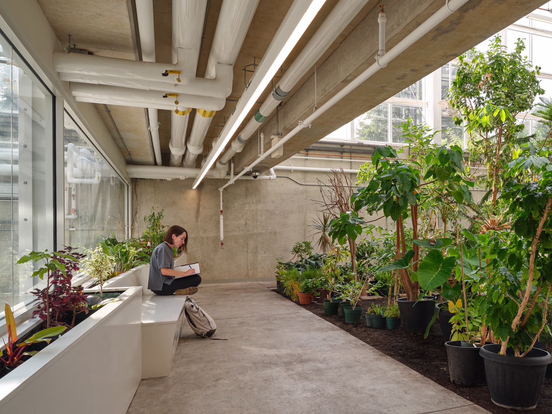 Person sitting on a bench in a greenhouse, writing in a notebook surrounded by various potted plants.