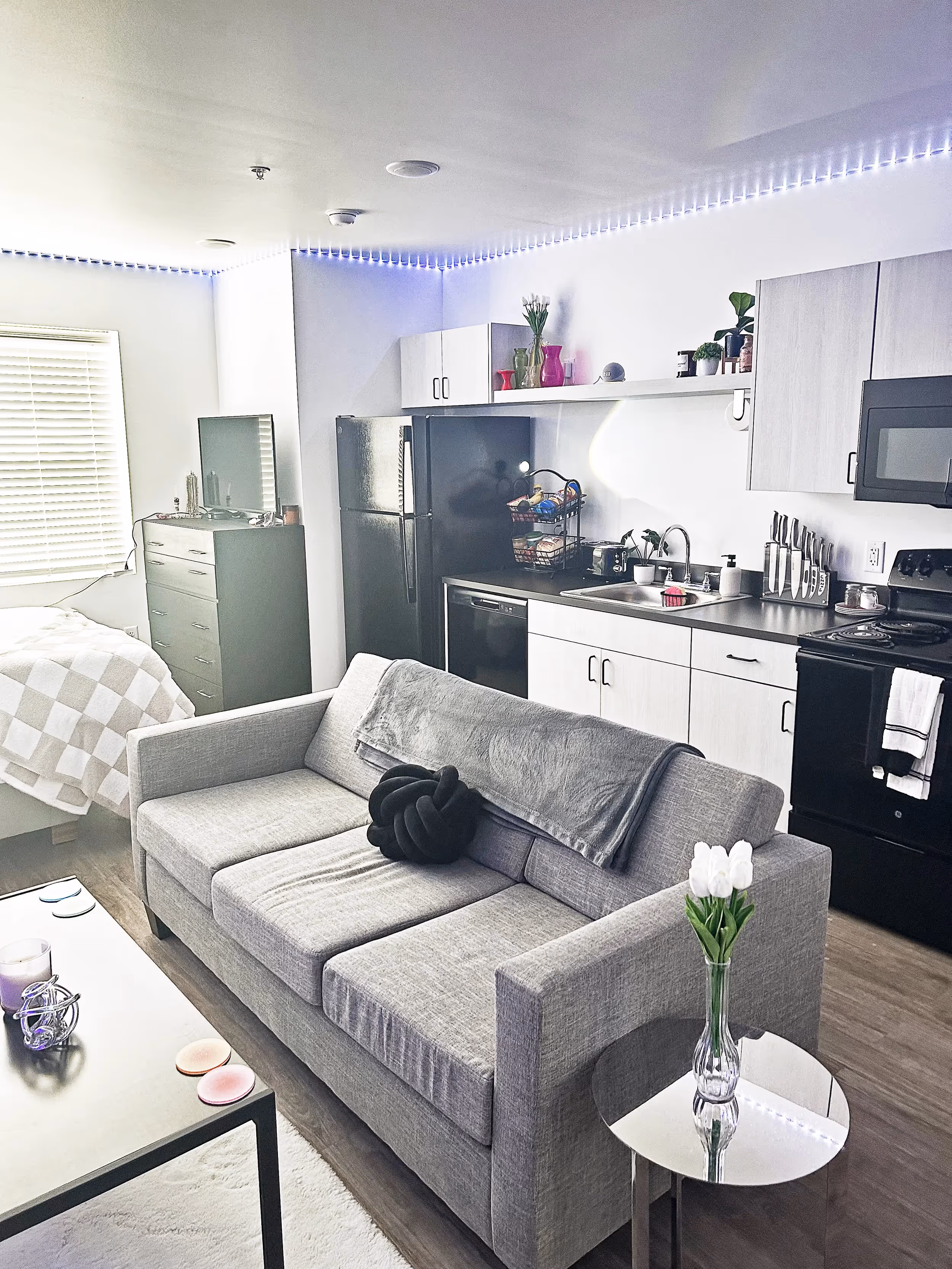 Fully Furnished living room