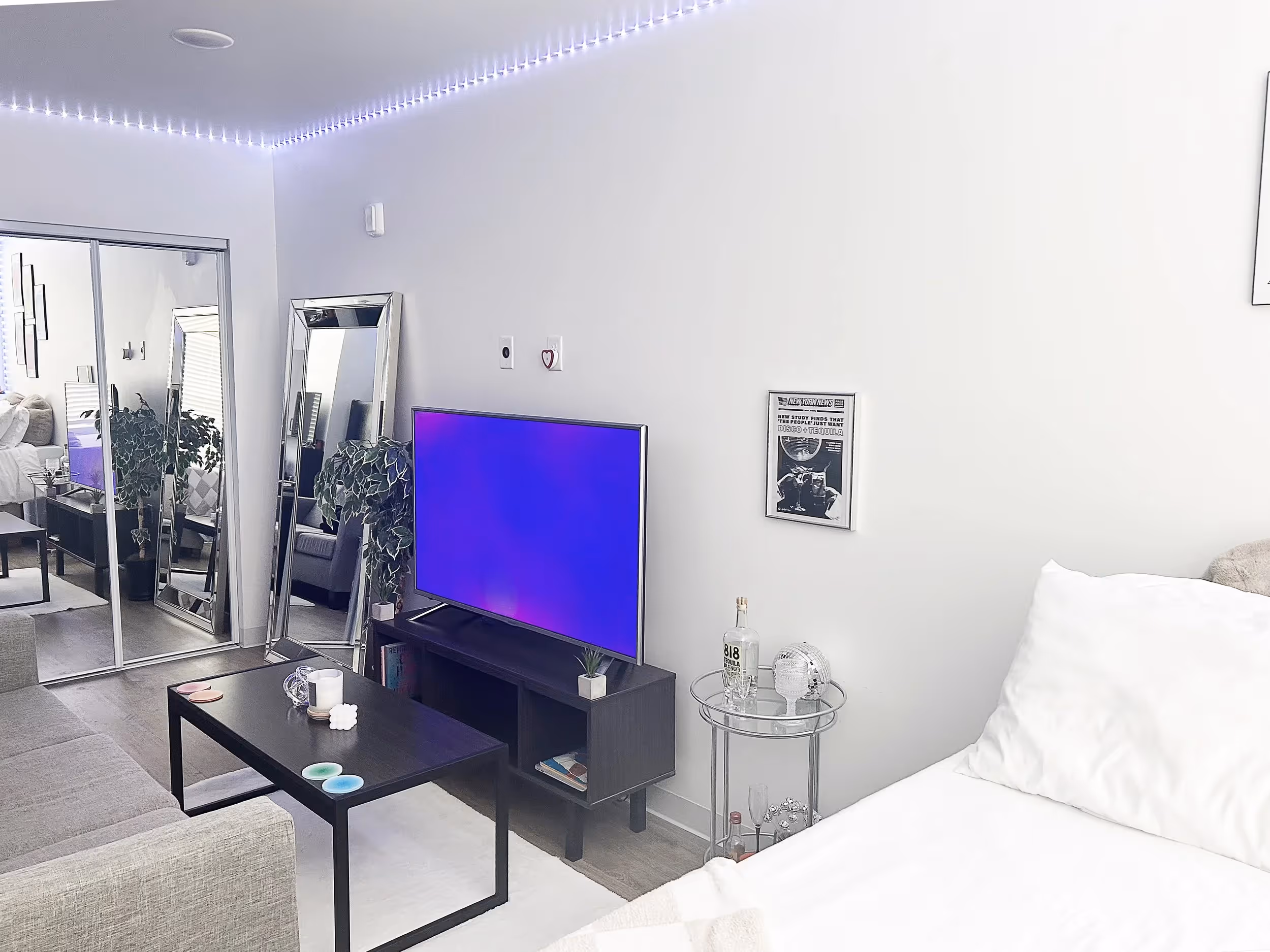 Fully Furnished living room