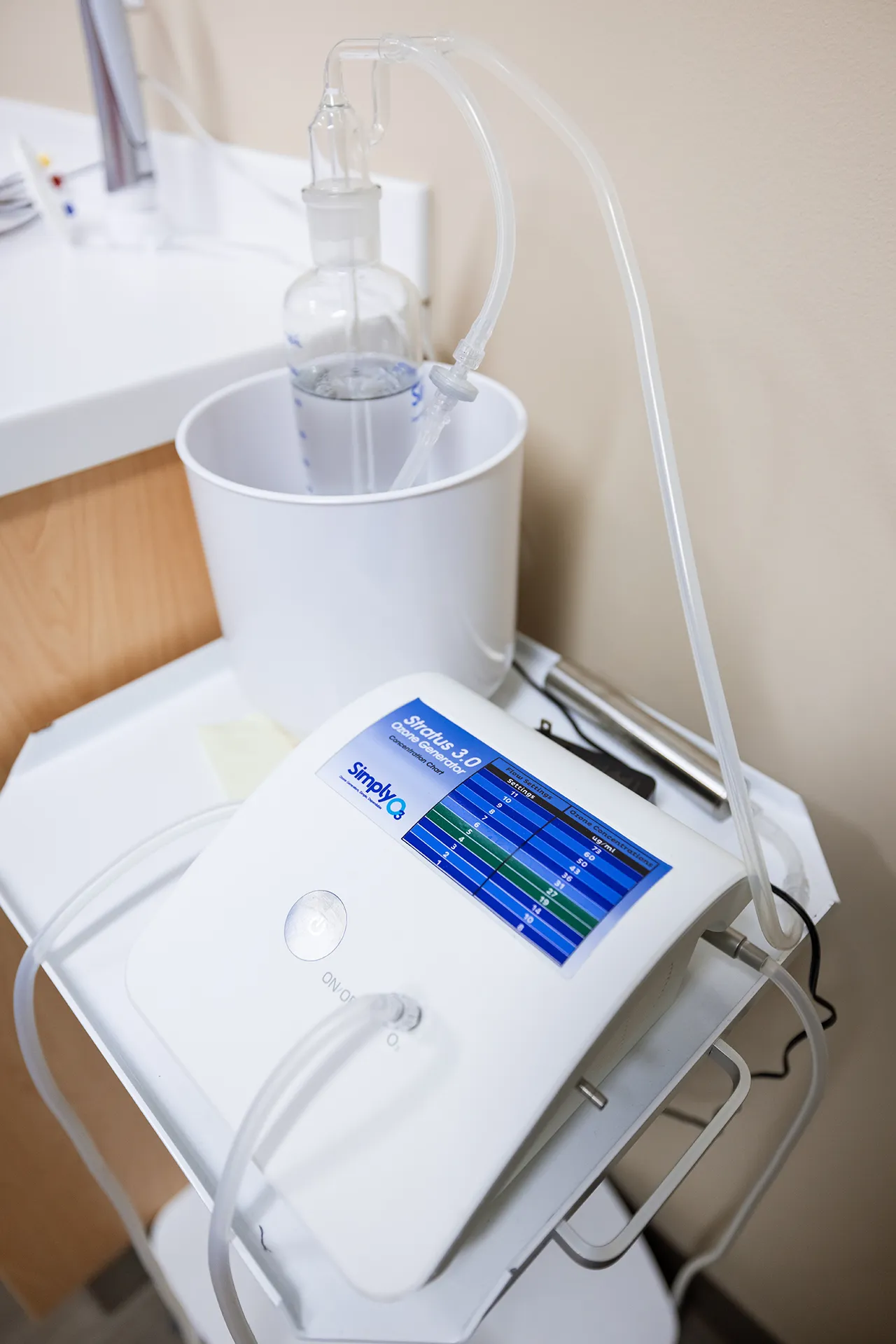What Is Holistic Dentistry? A Whole-Body Approach to Dental Care in Northern Michigan