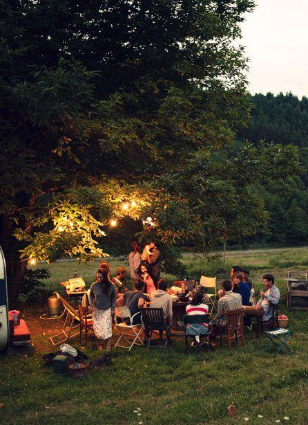 A photo of a group of people enjoying a campfire beneath a large tree.