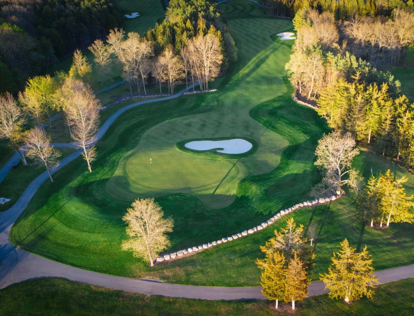Aerial view of Black Bear Ridge golf course with a putting green, sand bunker, surrounding trees, and fairway under natural sunlight.