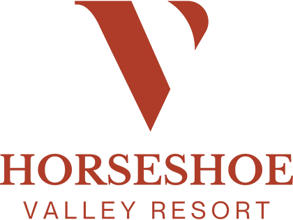 Horseshoe Valley Resort