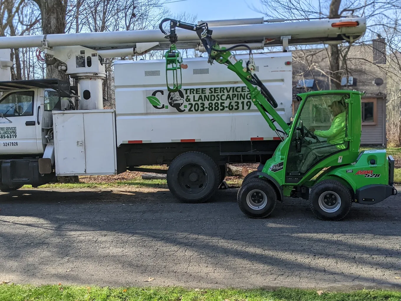 Safe and efficient tree removal service using professional equipment in Connecticut