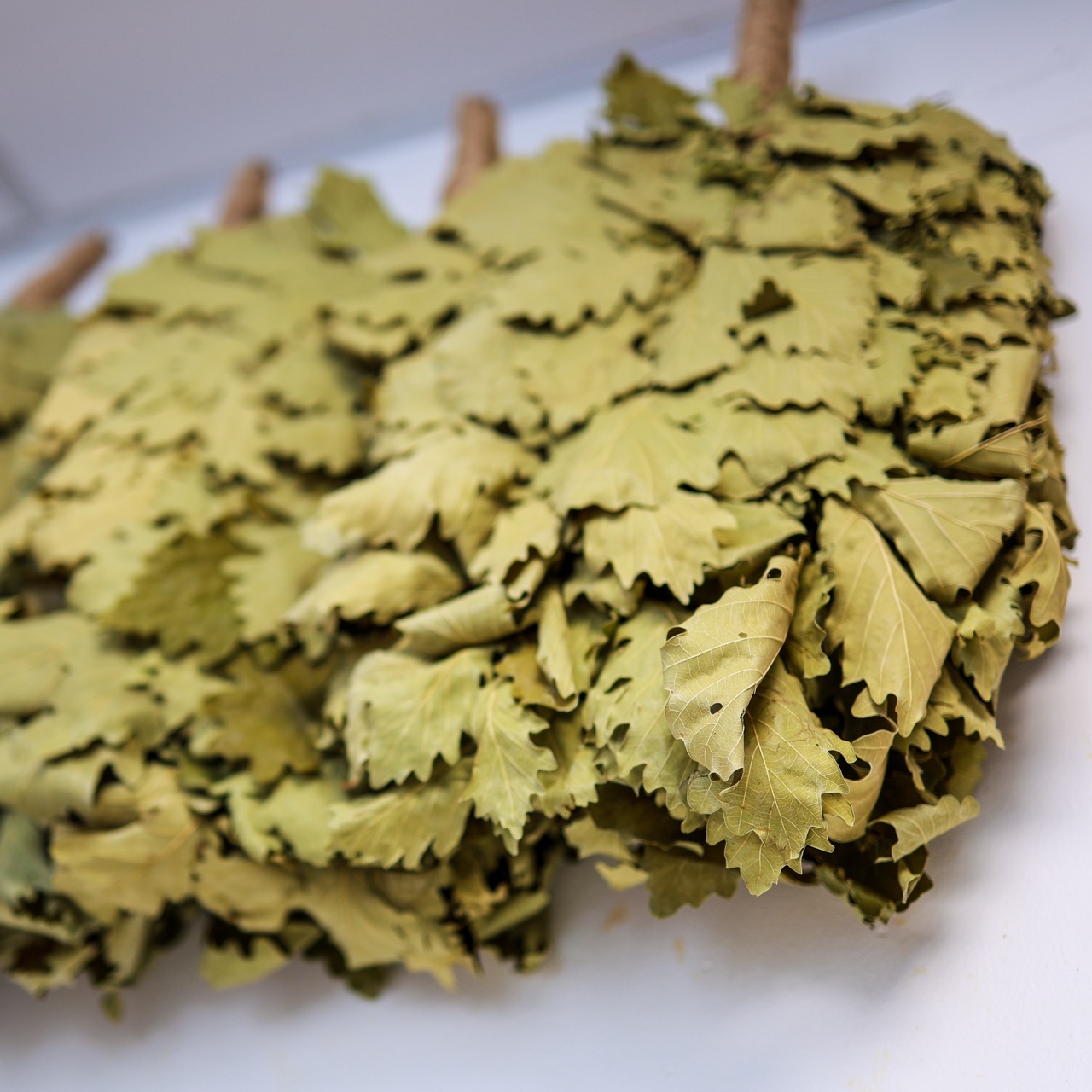 [background image] image of spa entrance for a salons & spa