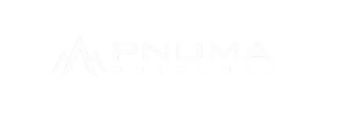 White stylized text logo reading 'AFPNLUMA' on a transparent background.