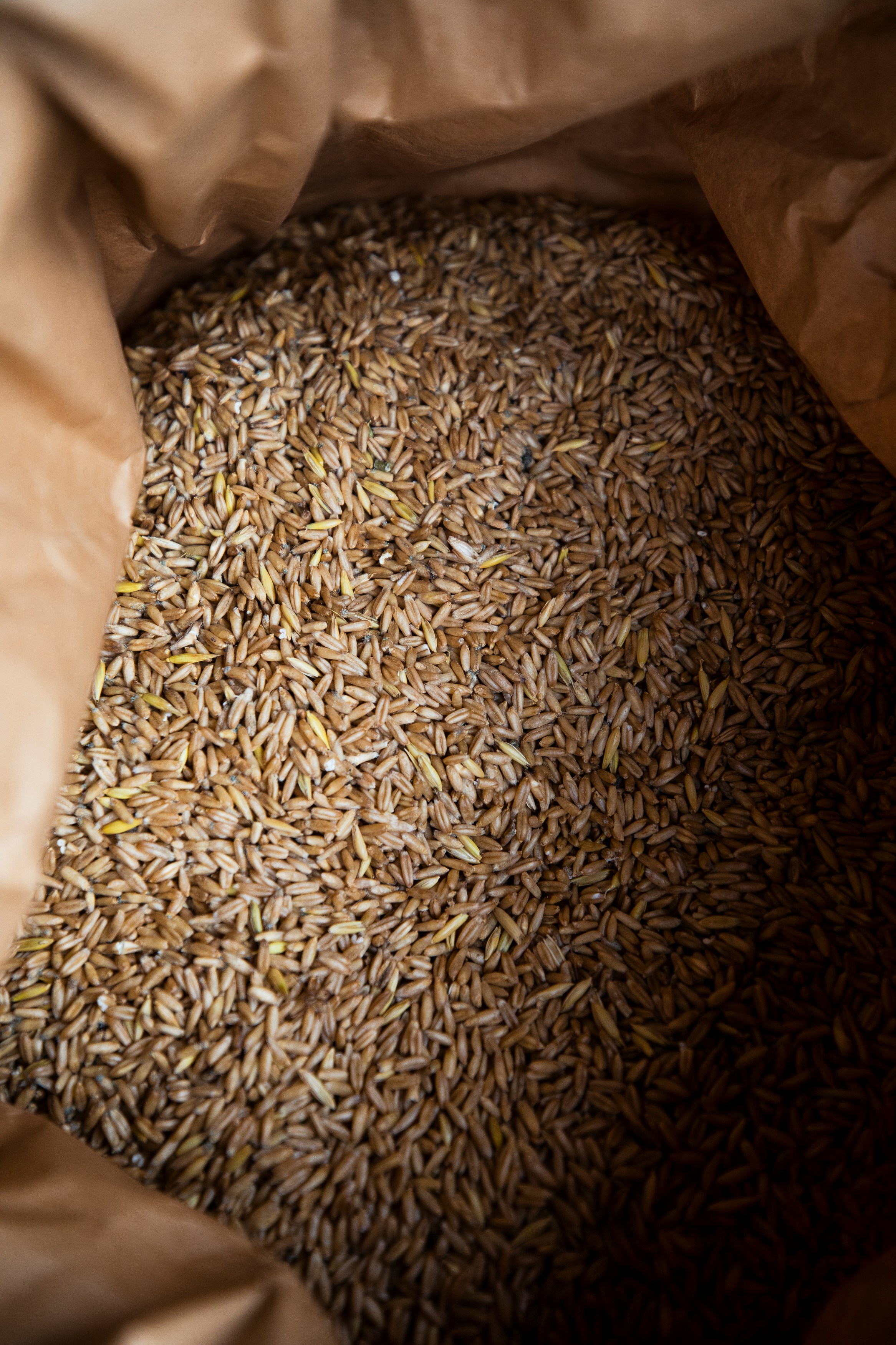 Bulk grains stored in export-ready packaging sourced through farmer partnerships