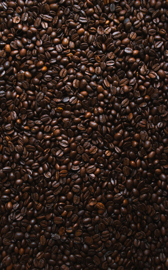 Export-grade roasted coffee beans prepared for consistent global supply