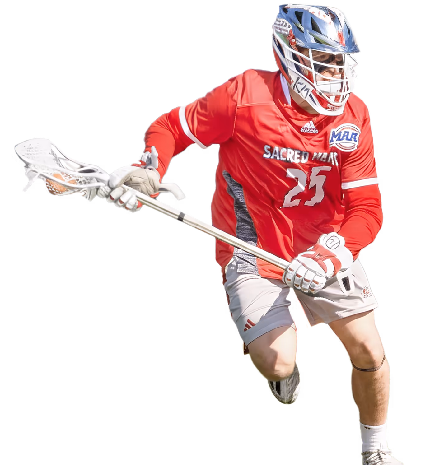 Fixture Member Image