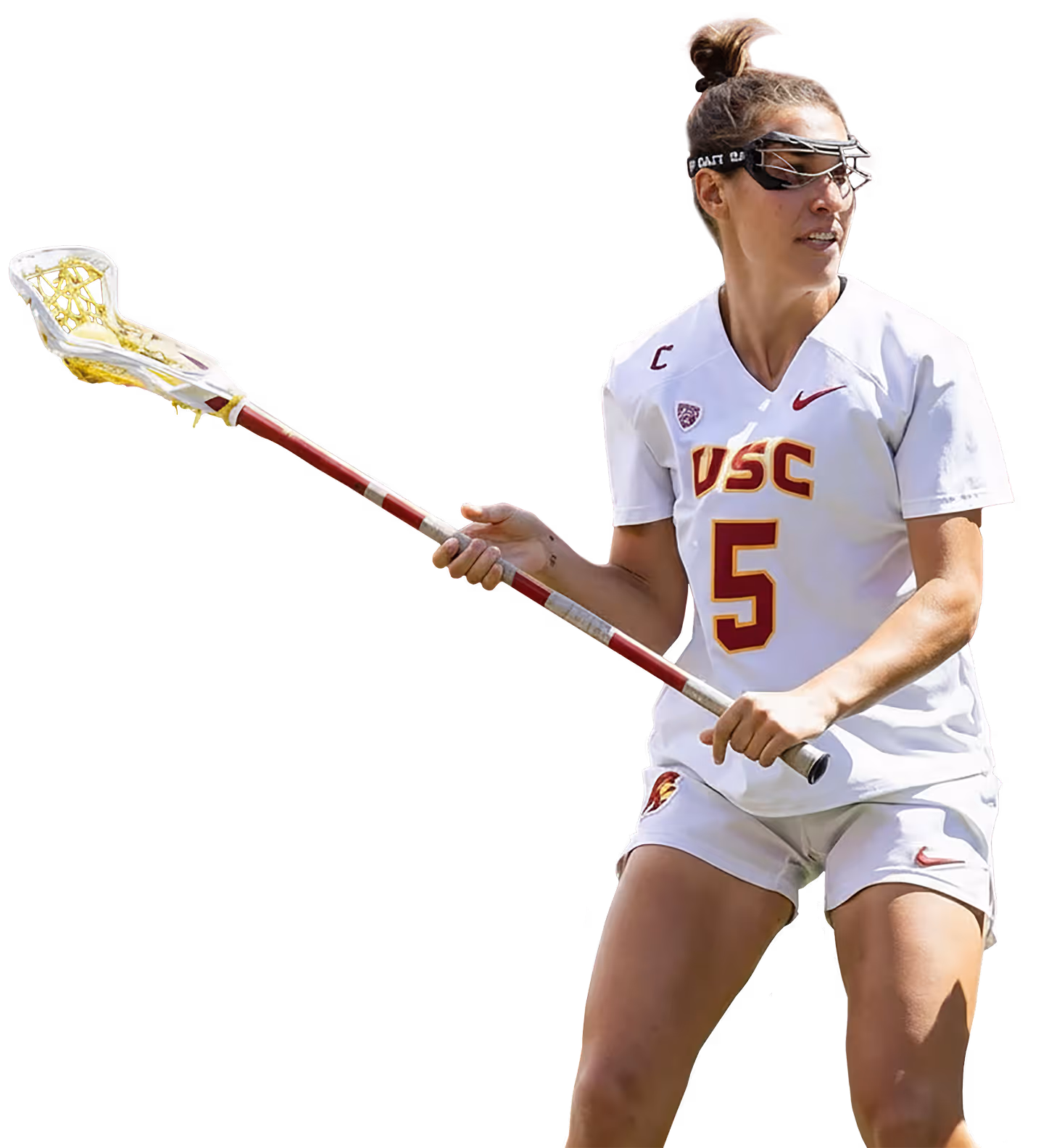 Fixture Member Image