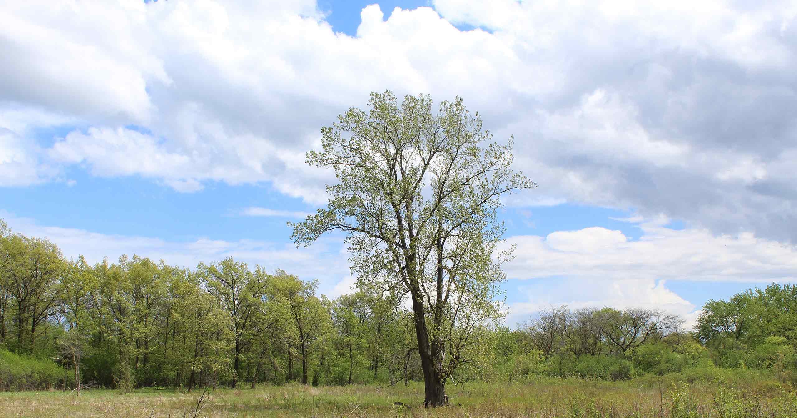 Tikvah Center - Faith Based Recovery