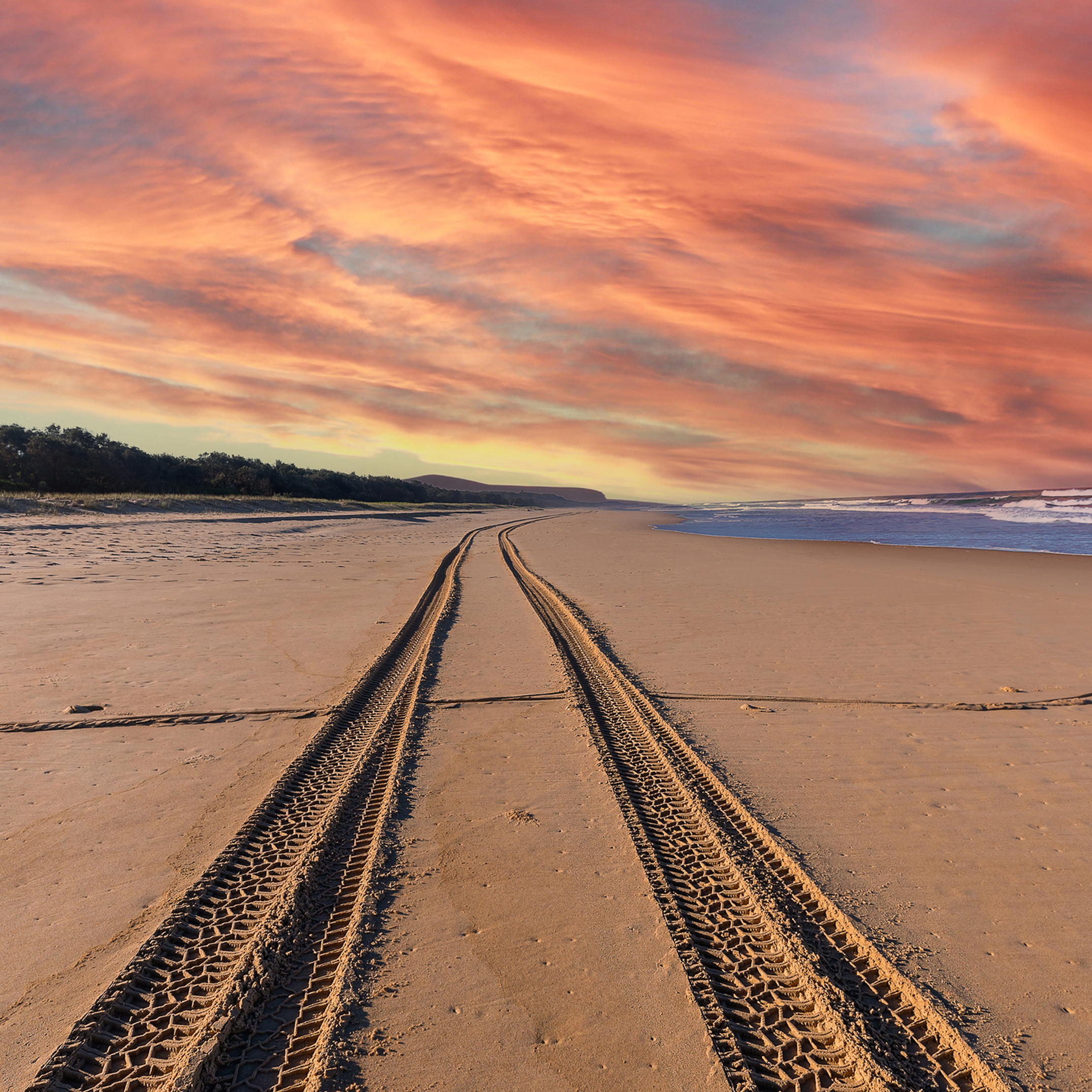 Navigating Adversity