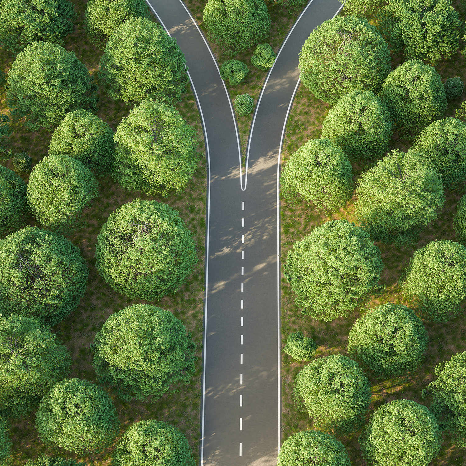 Leaders & Professionals