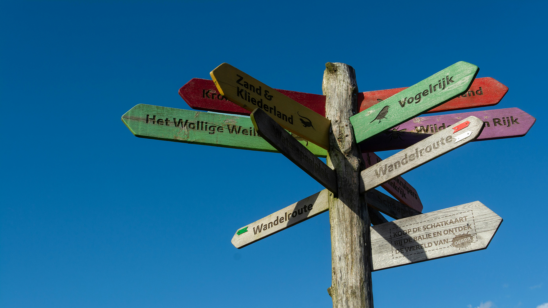 Oh, the Places You'll Go: A Leadership Lesson in Disguise