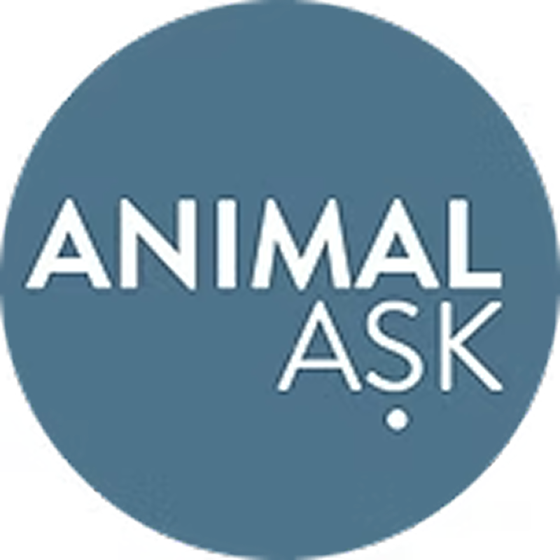 Animal Ask