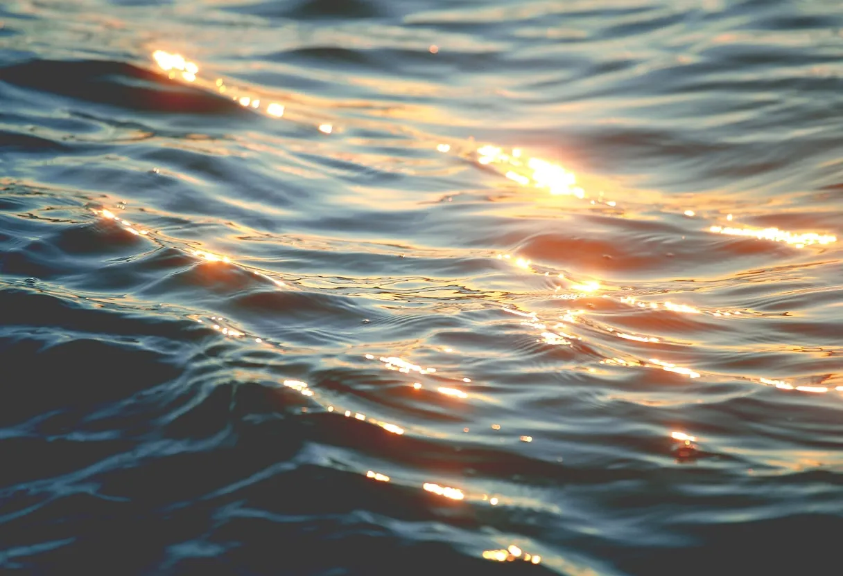 Sunlight reflecting off gentle rippling water surface.