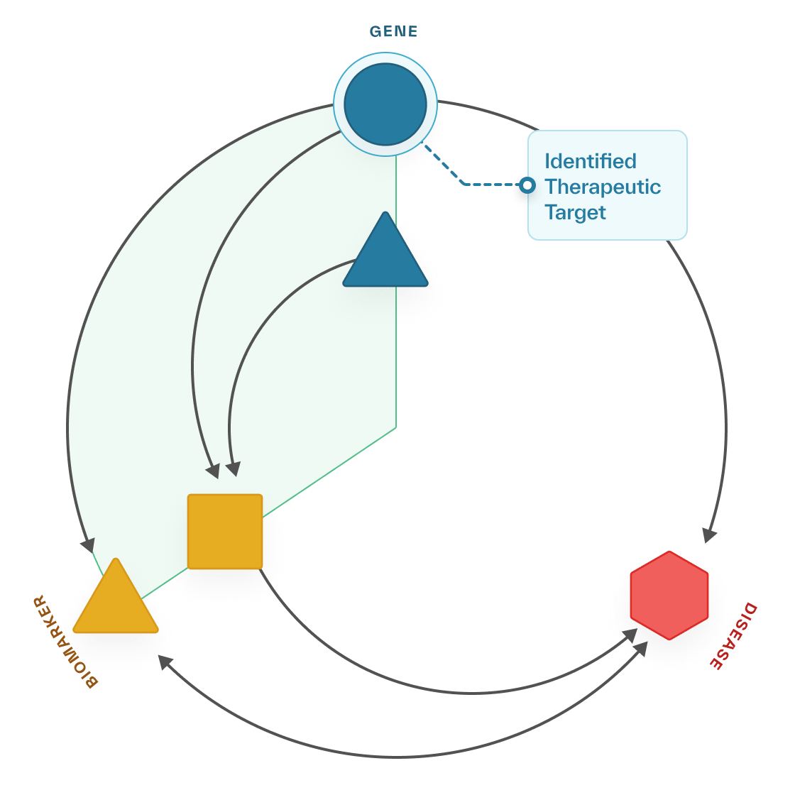 Mendelian Randomization Graphic