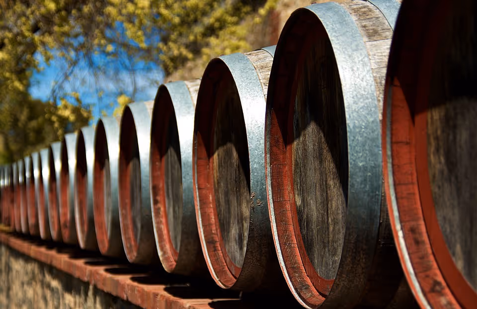 Row of wooden barrels with metal bands lined up outdoors on a stone ledge with trees in the background.
