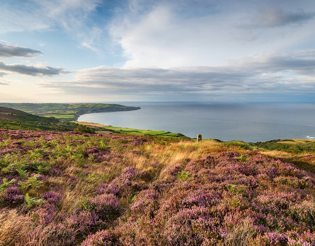 Scenic coastal landscape representing local independent opticians serving the community