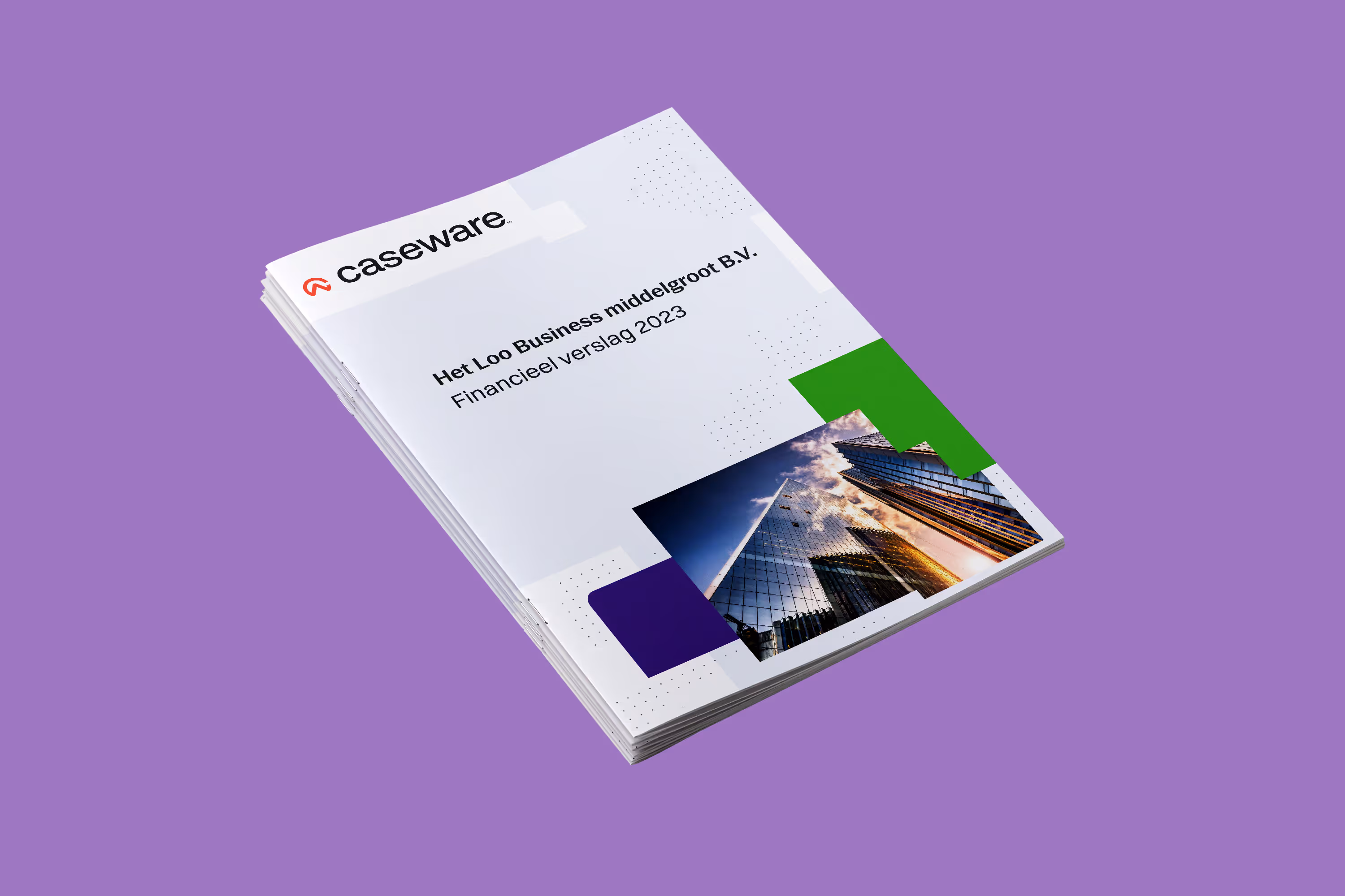 Download voorbeeld ‘Jaarrekening Middelgroot’