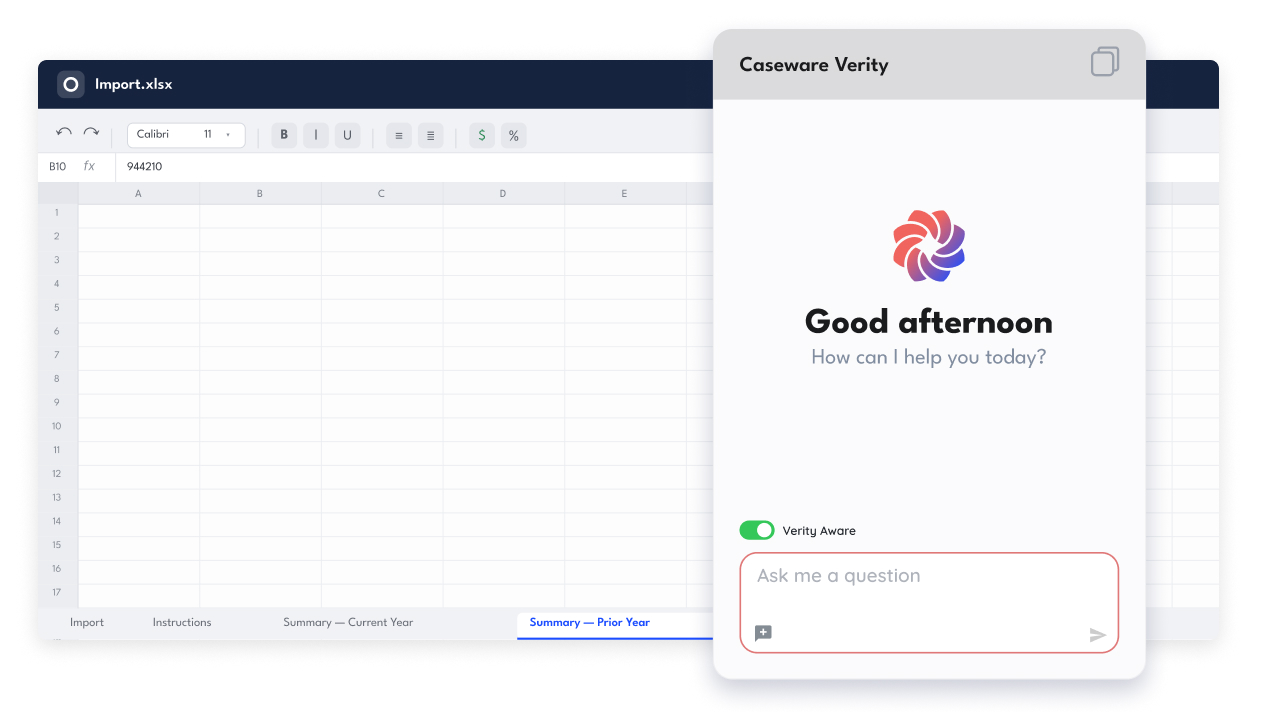 Caseware Verity for Excel