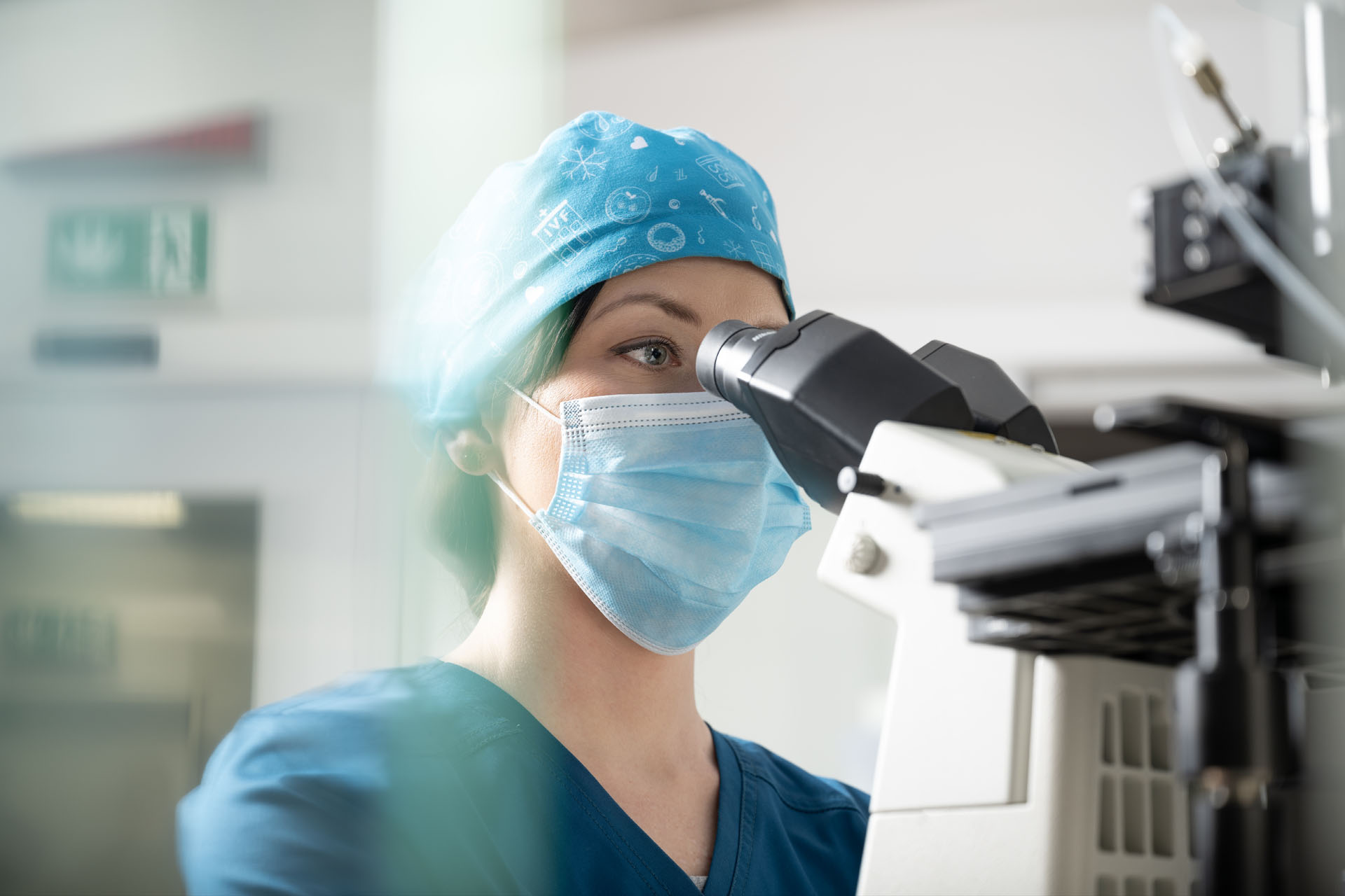 image of signature dish at a japanese restaurant