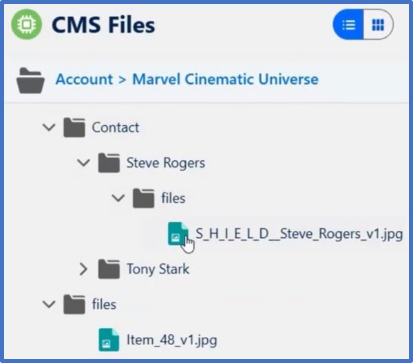 CMS Files folder hierarchy showing nested folders for Marvel characters with image files inside.