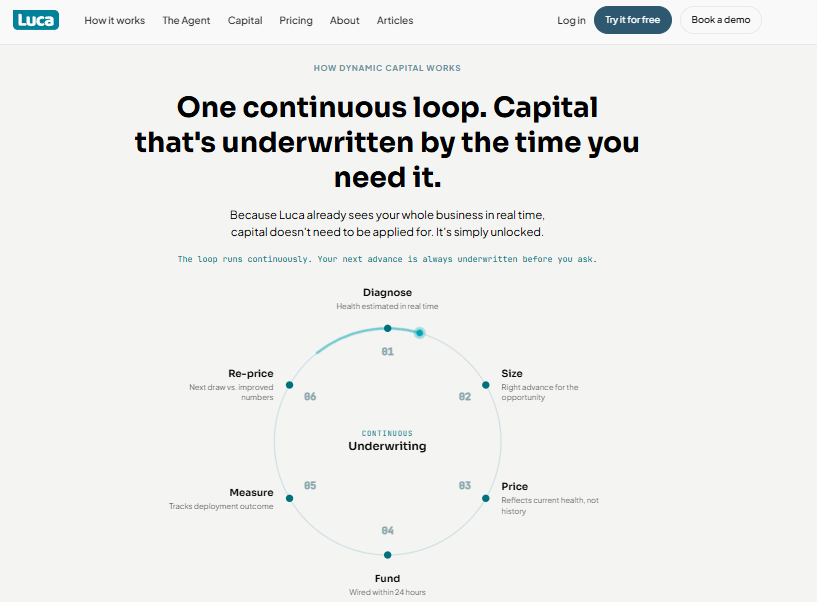 Luca AI dynamic capital loop diagram showing diagnose, size, price, fund, measure and re-price stages.