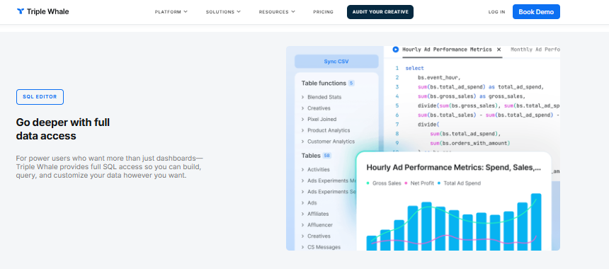 Triple Whale SQL editor with hourly ad performance metrics query and blended spend, sales chart