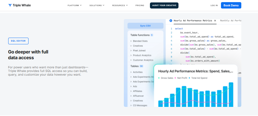 Triple Whale SQL editor showing an hourly ad spend and sales query alongside a performance chart