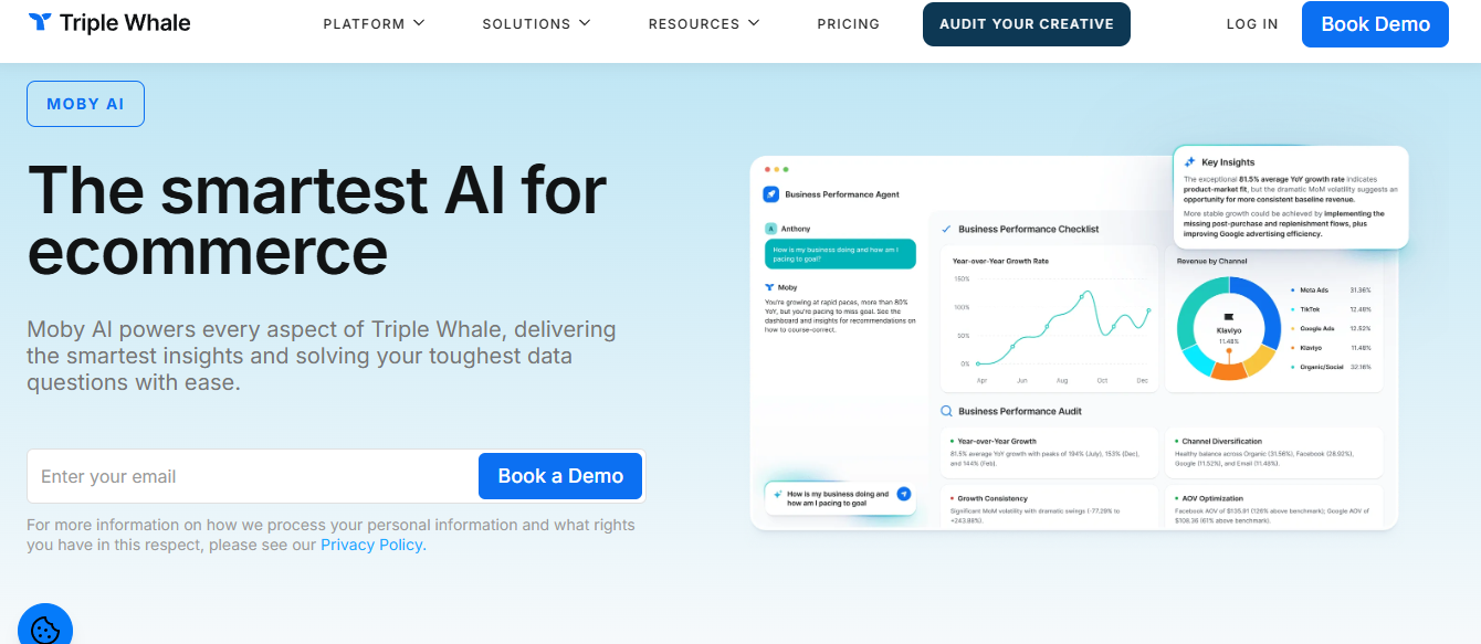 Triple Whale Moby AI business performance agent showing year-over-year growth, revenue by channel and audit checklist
