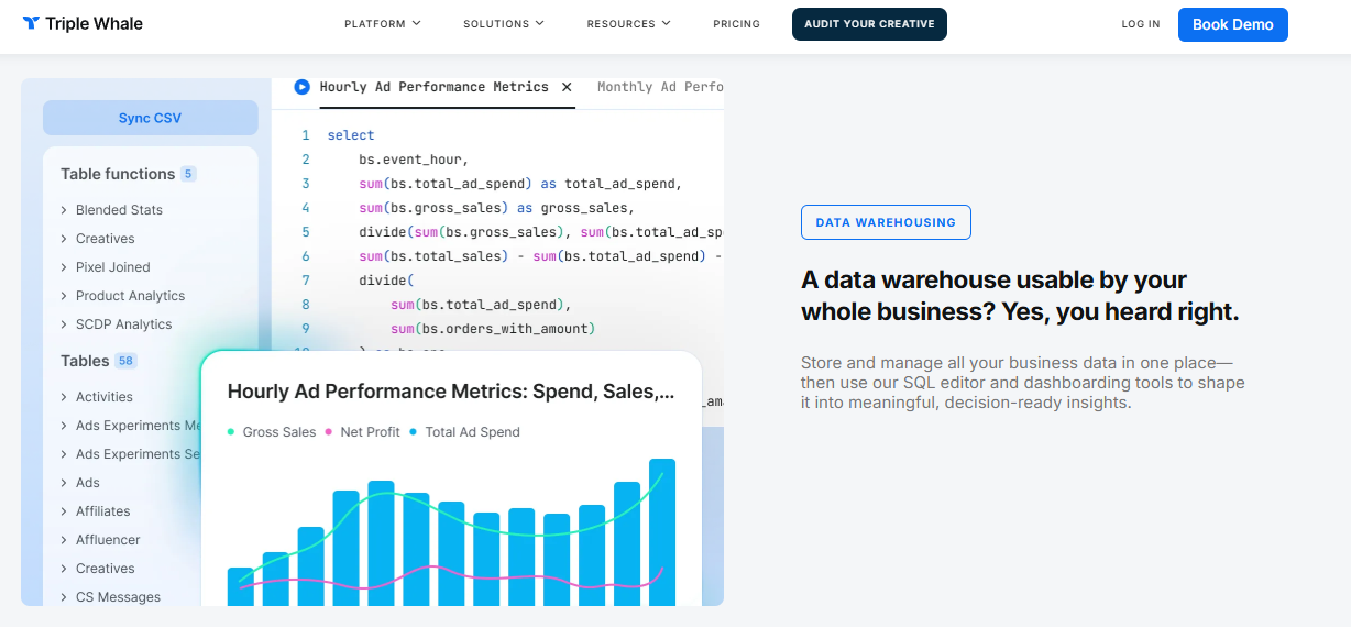  Triple Whale data warehouse view with SQL editor, blended stats tables, and hourly ad performance chart