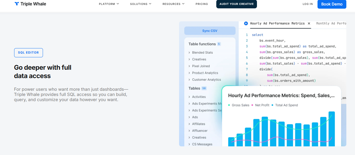 Triple Whale SQL Editor showing hourly ad performance metrics query with spend, sales, and net profit chart