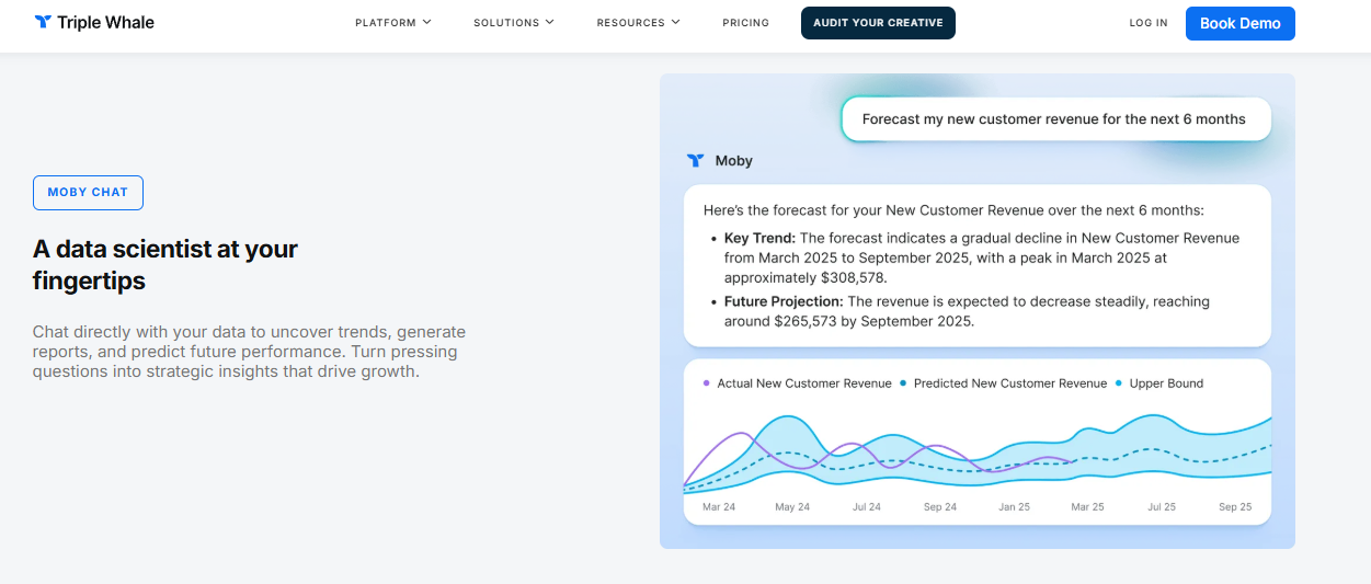 Triple Whale Moby Chat forecasting new customer revenue with trend projection and upper bound bands