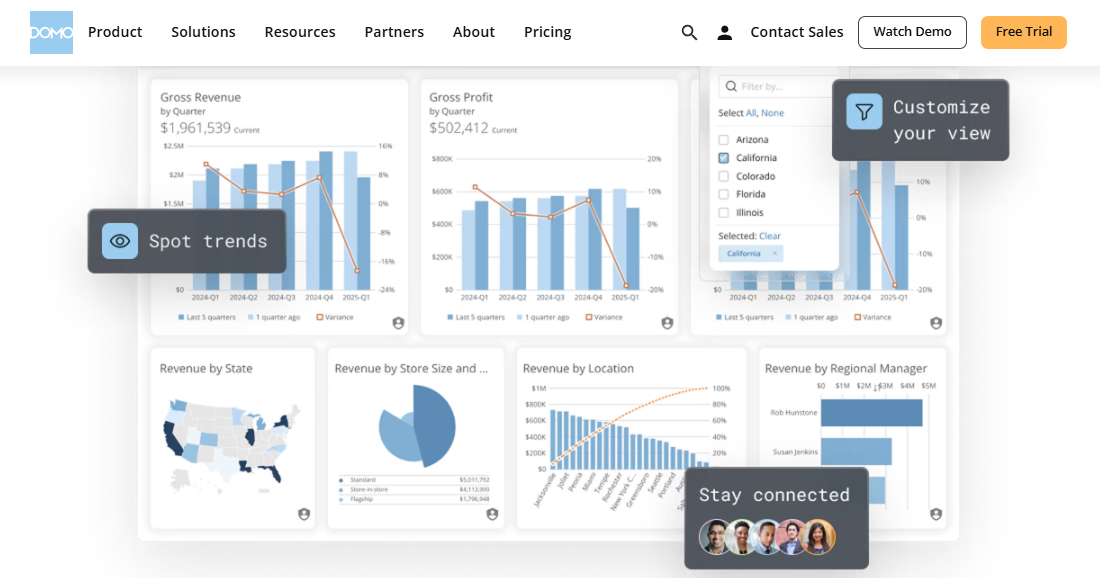  Domo dashboard views showing gross revenue, gross profit, and regional variance charts with filters