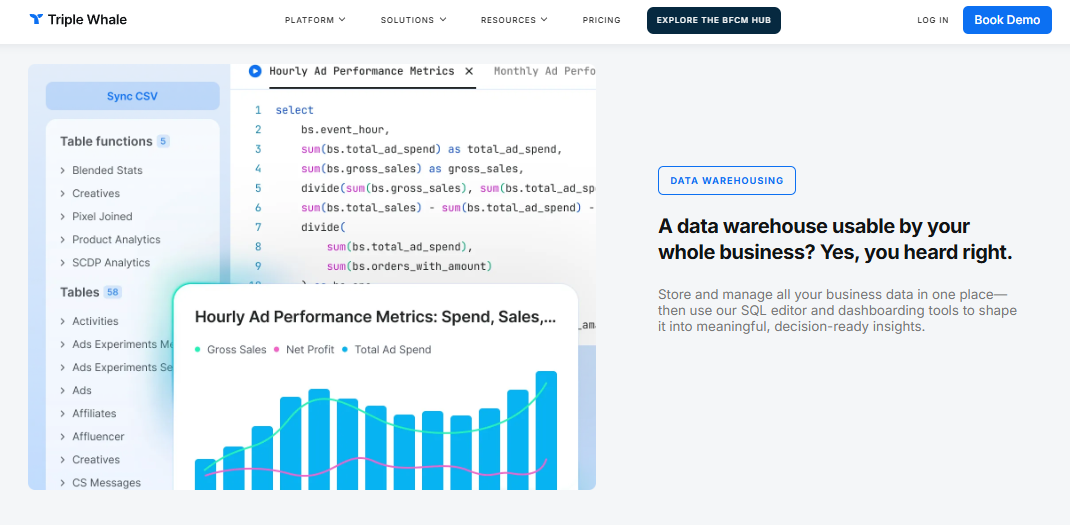 Triple Whale data warehouse SQL editor building hourly ad performance metrics for ecommerce spend and net profit