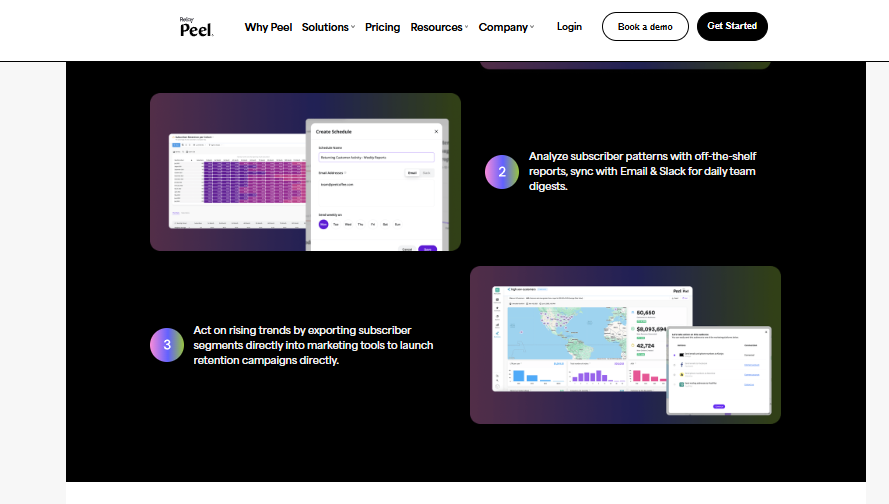 Peel Insights scheduled subscriber reports and retention segments exported to email and Slack digests