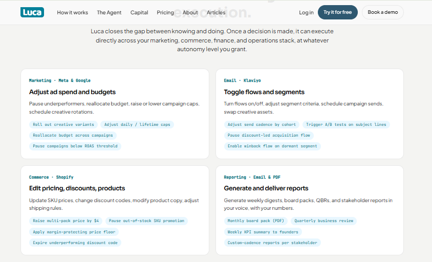 Luca AI execution panel showing ad budget, Klaviyo flow, Shopify pricing and report actions for ecommerce teams