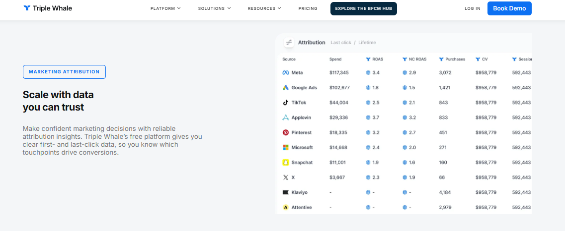 Triple Whale attribution table comparing Meta, Google, TikTok and Klaviyo spend, ROAS, purchases and sessions