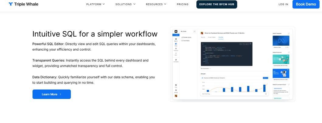 Triple Whale SQL editor, transparent queries and data dictionary inside its ecommerce analytics dashboard