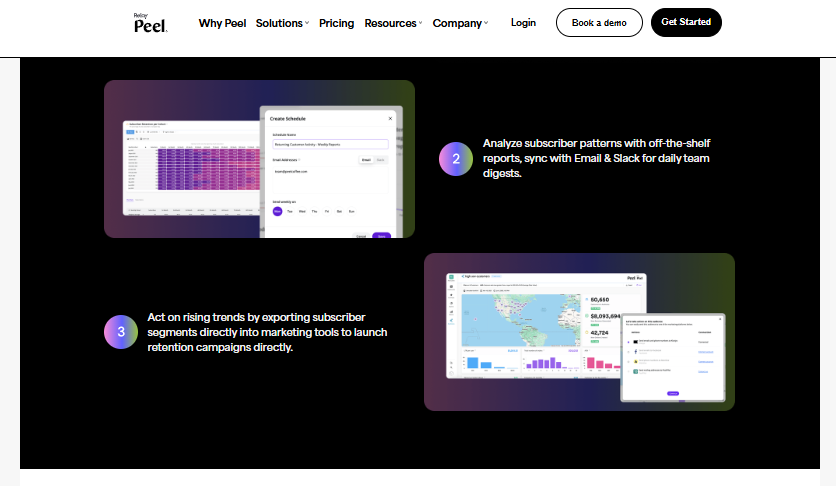 Peel Insights scheduling retention reports to email and Slack, with subscriber cohort and revenue views