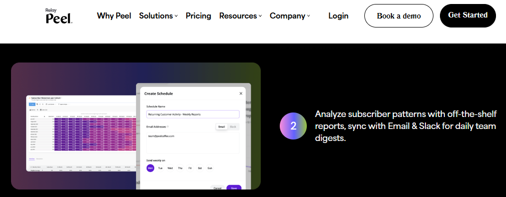 Peel subscriber cohort report with scheduled email and Slack team digests