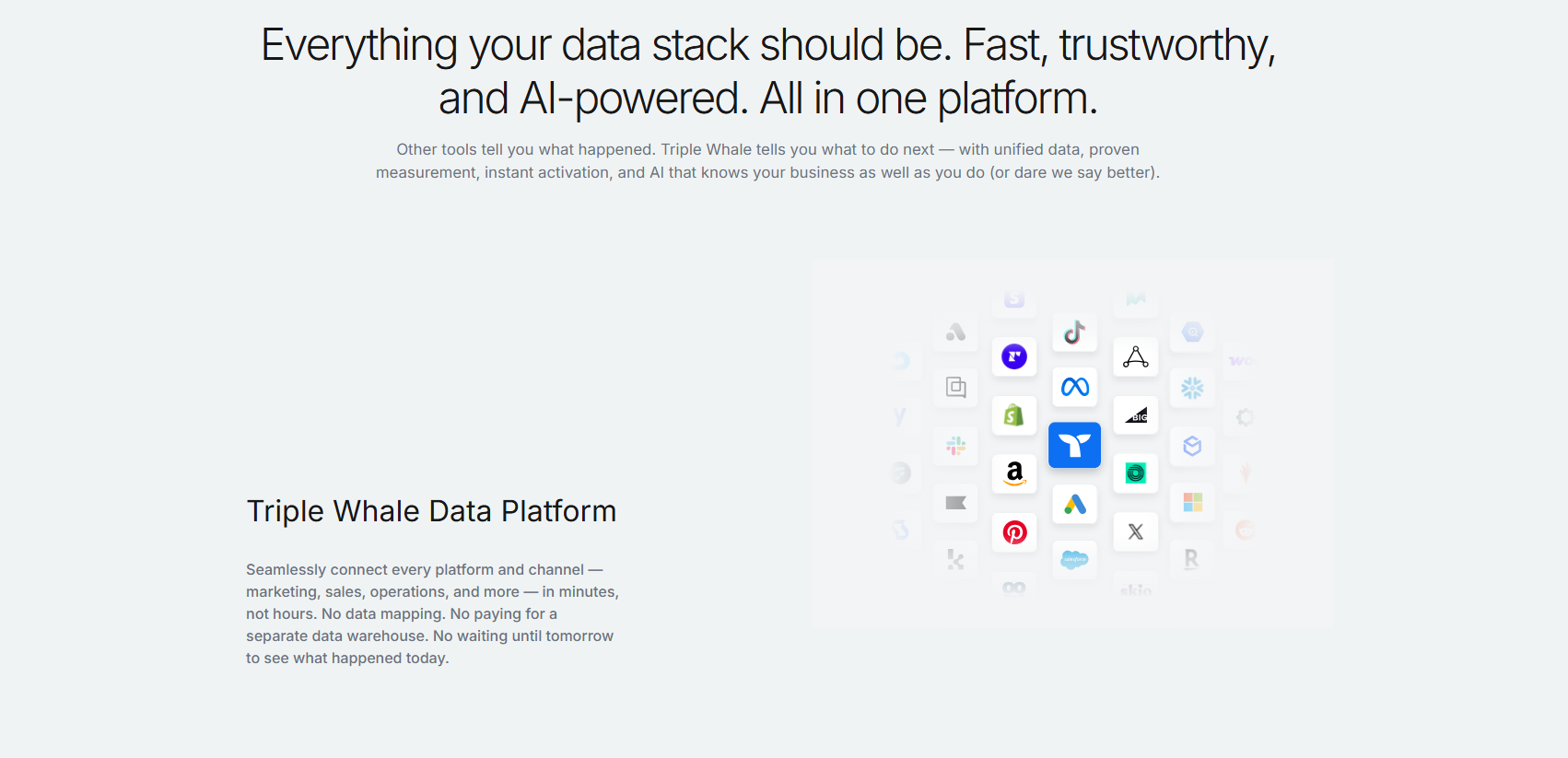 Triple Whale AI-powered data platform connecting Shopify, Meta, TikTok, and Amazon for e-commerce marketing attribution