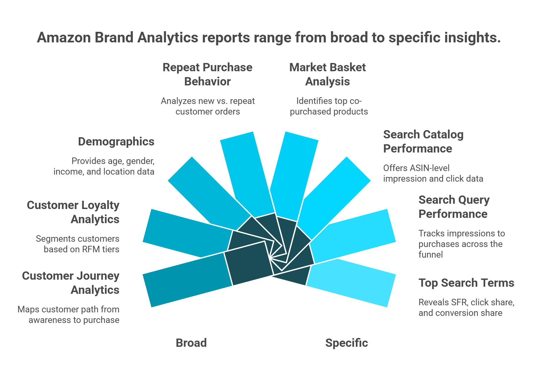 Hub-and-spoke diagram showing Amazon Brand Analytics 9 reports across Search Analytics and Consumer Behavior categories