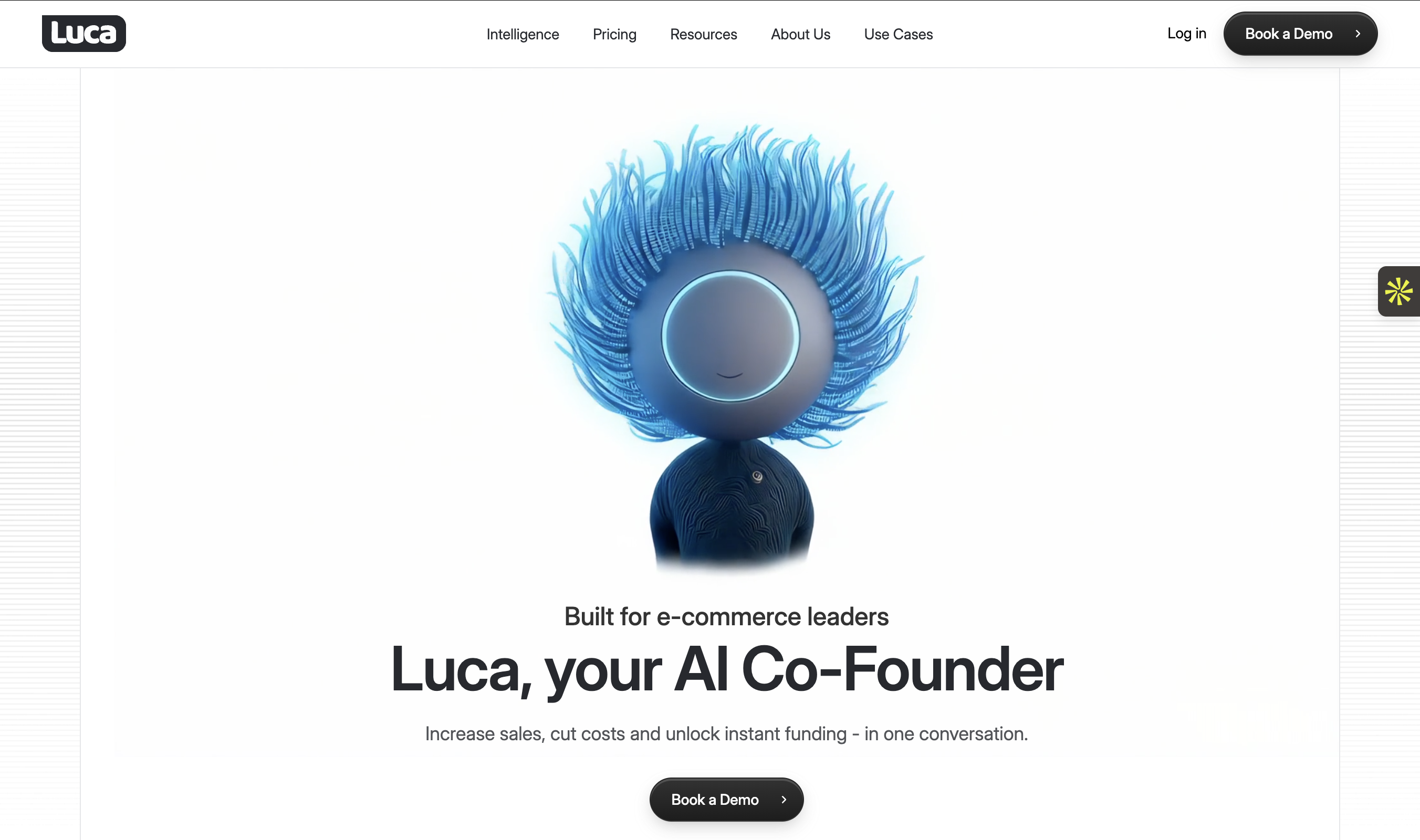 Luca AI cash flow intelligence dashboard built for ecommerce leaders with unified analytics, funding, and cross-functional reasoning