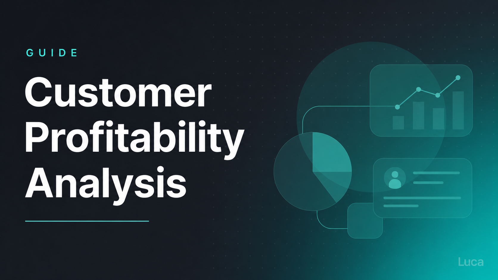 Customer profitability analysis guide thumbnail with profit tracking charts and customer-level data visuals by Luca