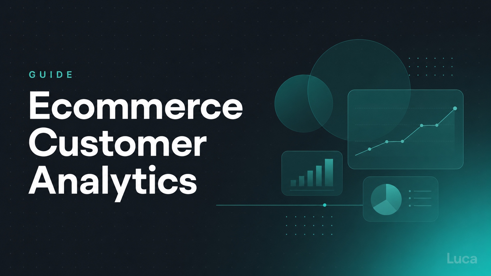 Ecommerce customer analytics guide thumbnail showing analytics dashboard charts and graphs by Luca