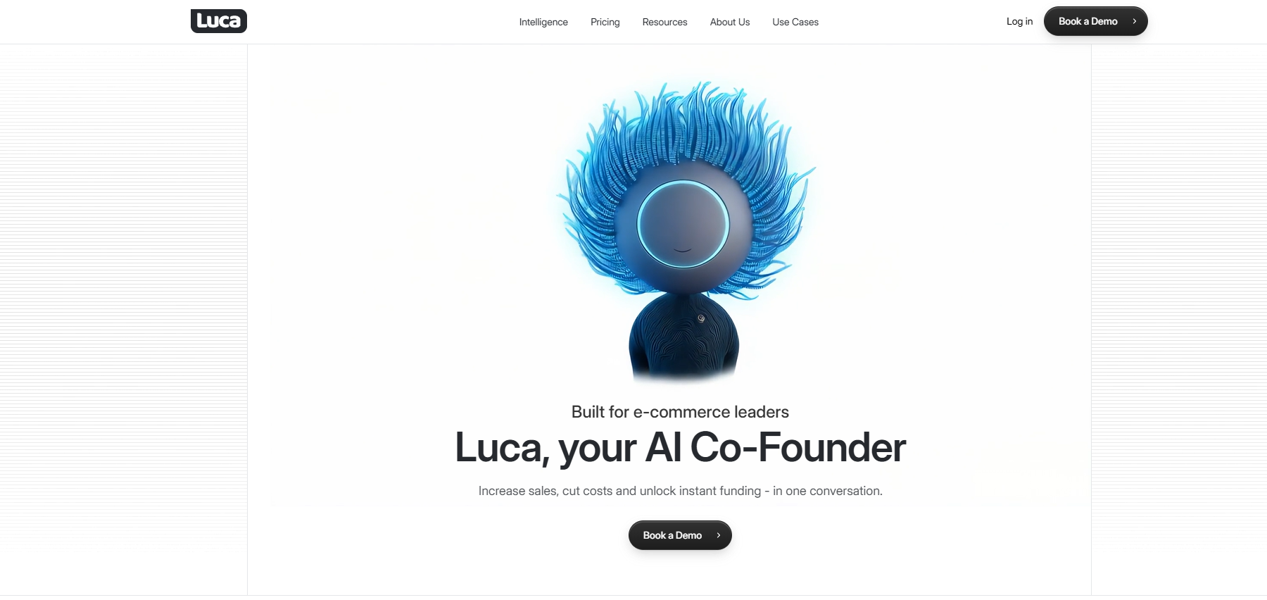 Luca AI Co-Founder for e-commerce, an ecommerce monitoring tool unifying sales, cost, and funding insights