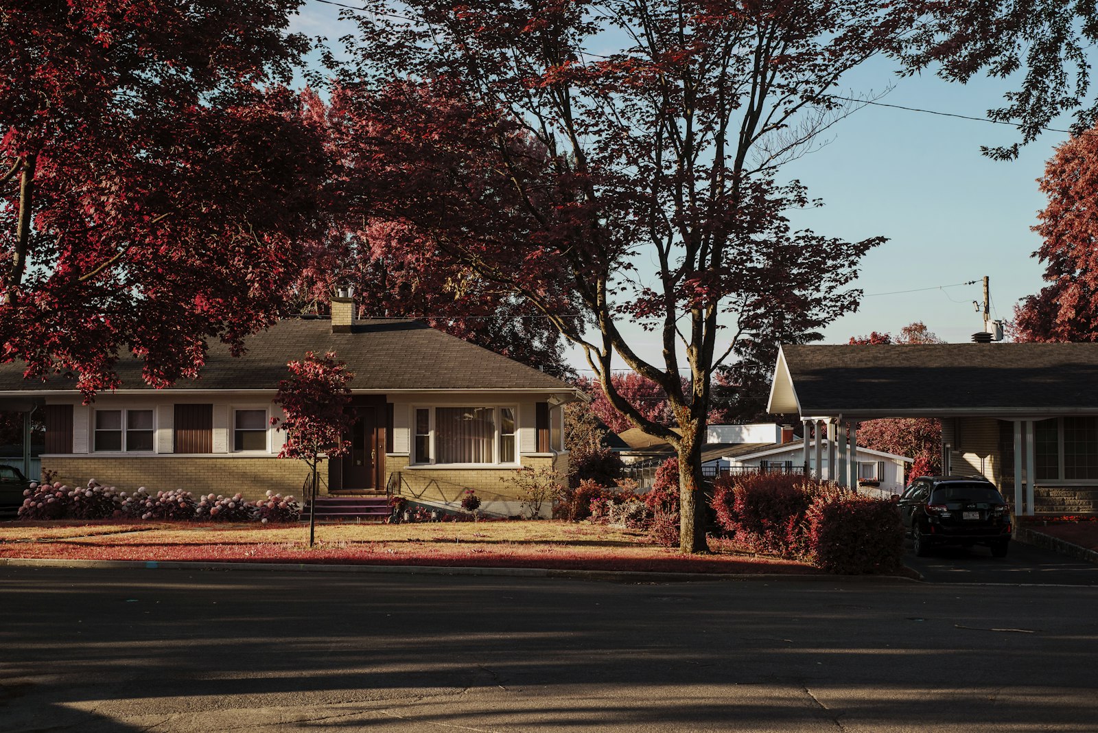Suburban family home with a car in the driveway