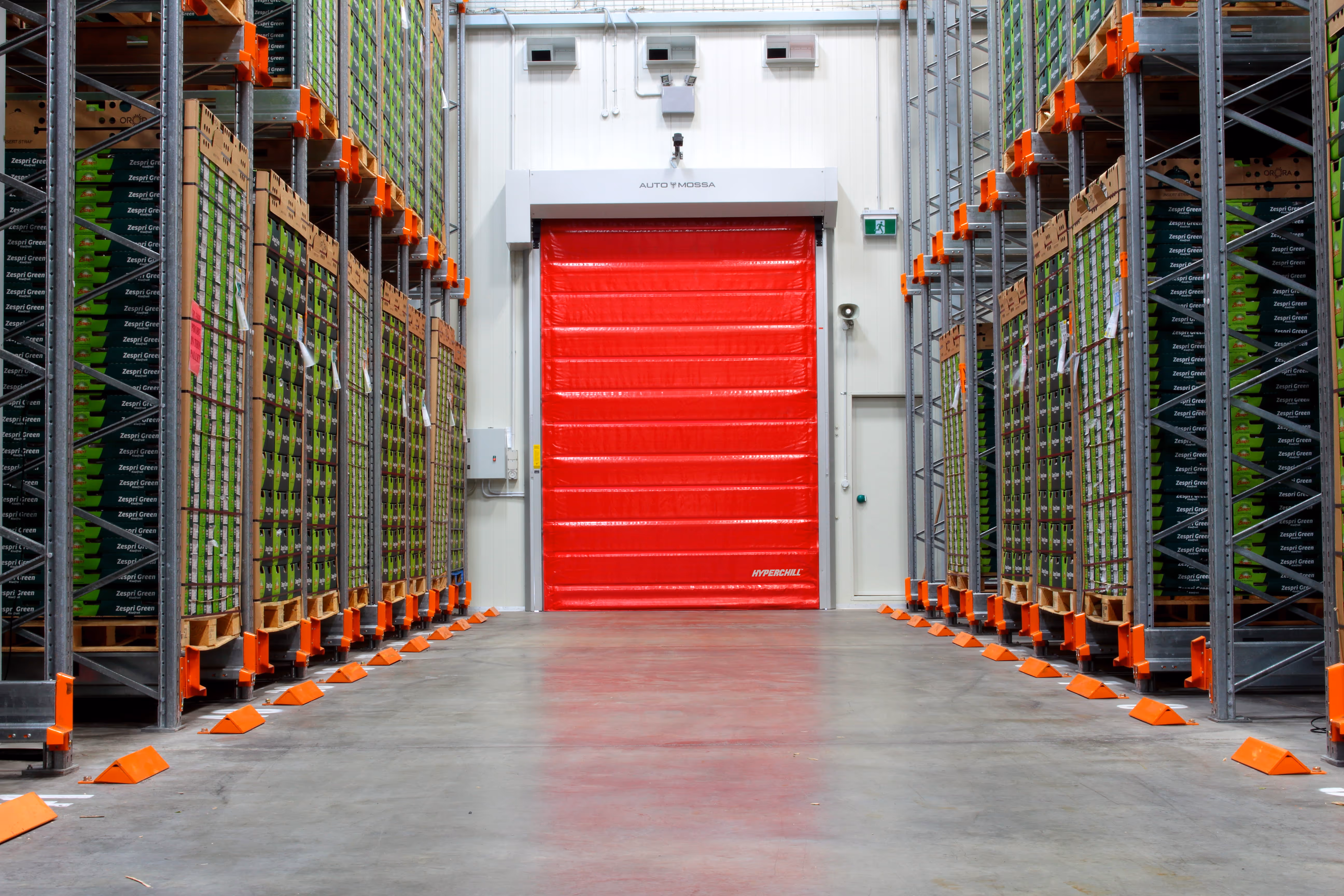 A cold storage warehouse aisle with stacked green Zespri Green kiwifruit boxes on metal shelves and a large red roll-up door at the end.